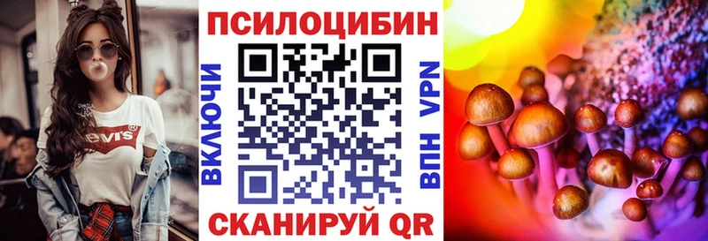 Купить  Сухиничи  Псилоцибиновые грибы Cubensis 